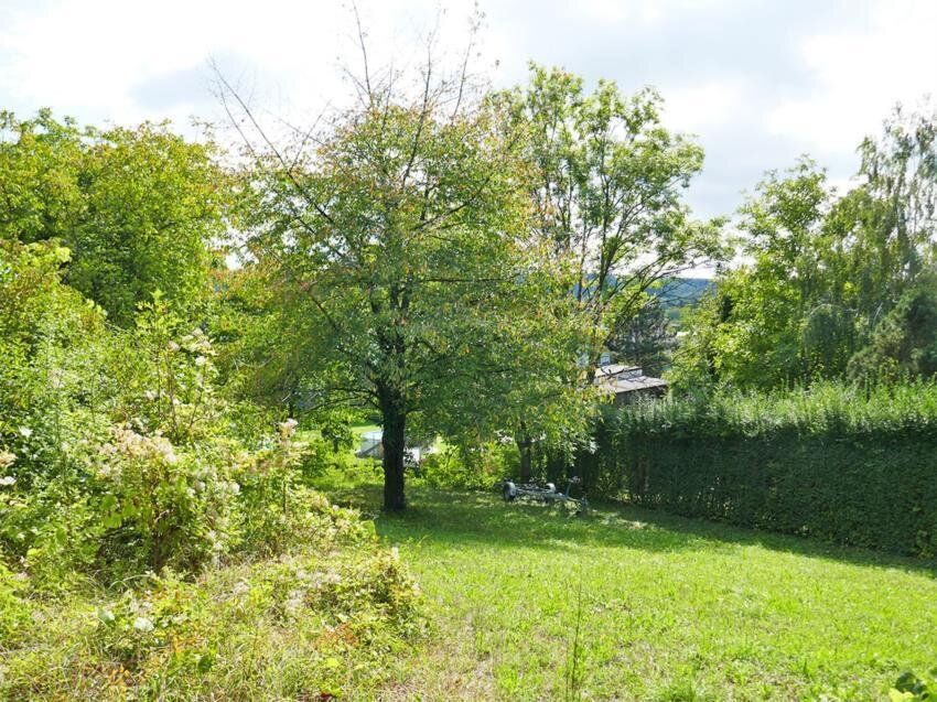 Baugrundstück in idyllischer Lage auf leichtem Südhang in Tulln-Nähe - Ansicht 4