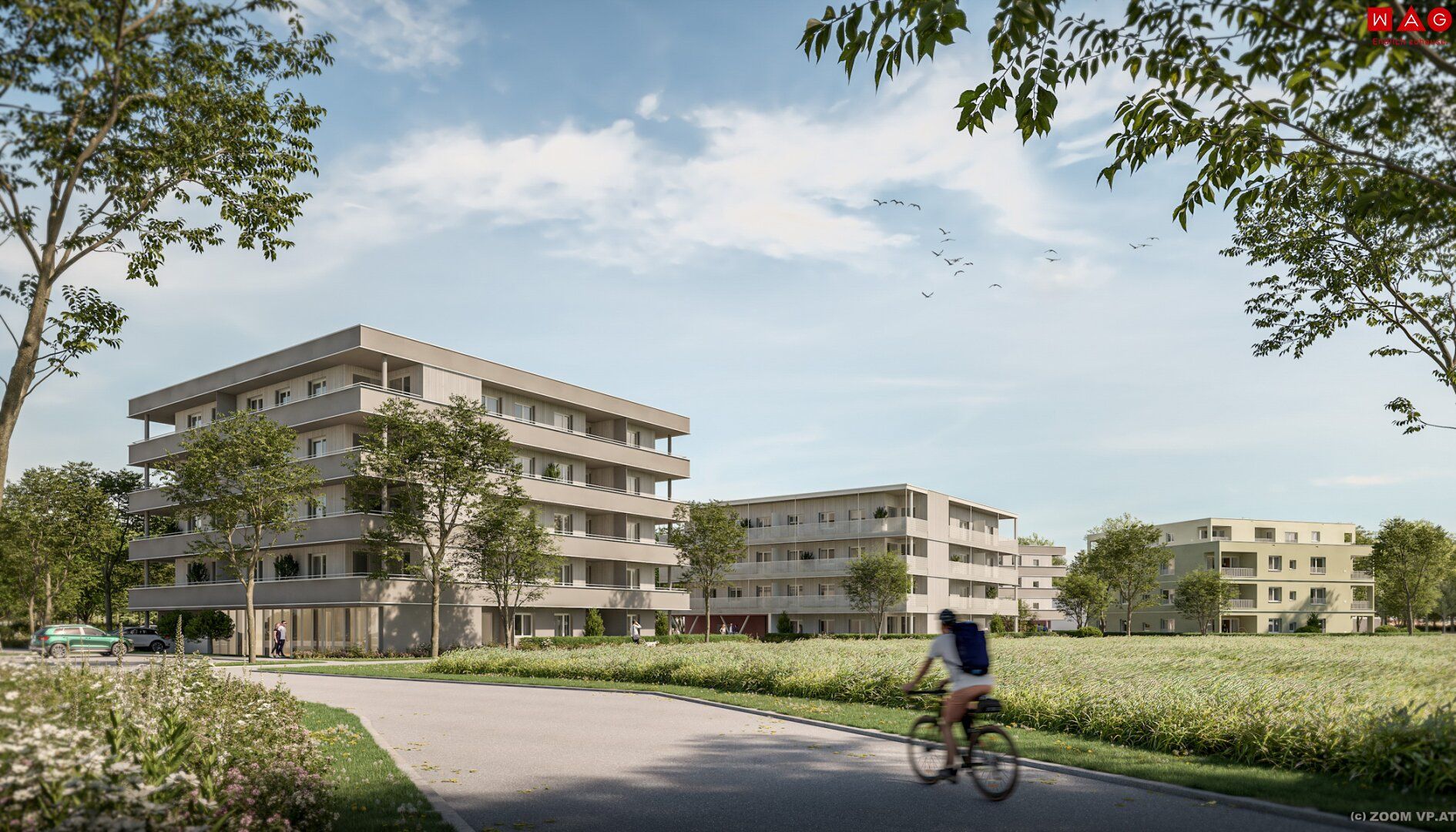 Wohnung – Gunskirchen - Ansicht 4