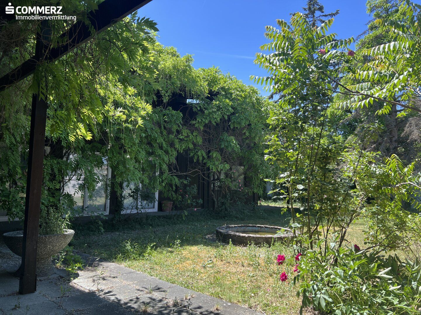 House in Wiener Neustadt - View 2