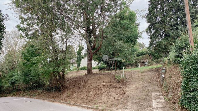 image00029