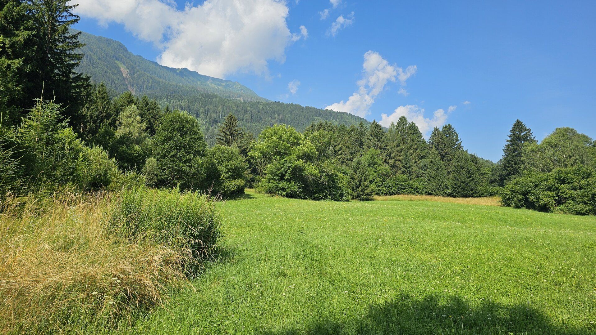 1 Grundstück - Ihr neues Zuhause in einer malerischen Lage in Penk. Ideal auch für Tierhaltung/Landwirtschaft. - Ansicht 4