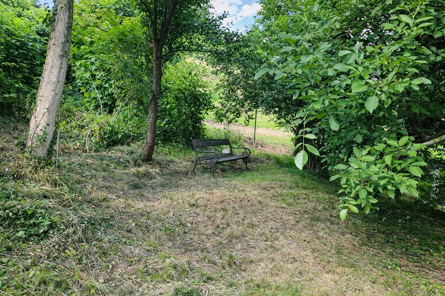 Natur vor der Haustür - Grundstück mit Weitblick und Grünlandanschluss - Ansicht 5