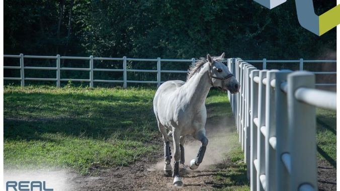 Reitclub Gutenhof (3,5km Entfernung)