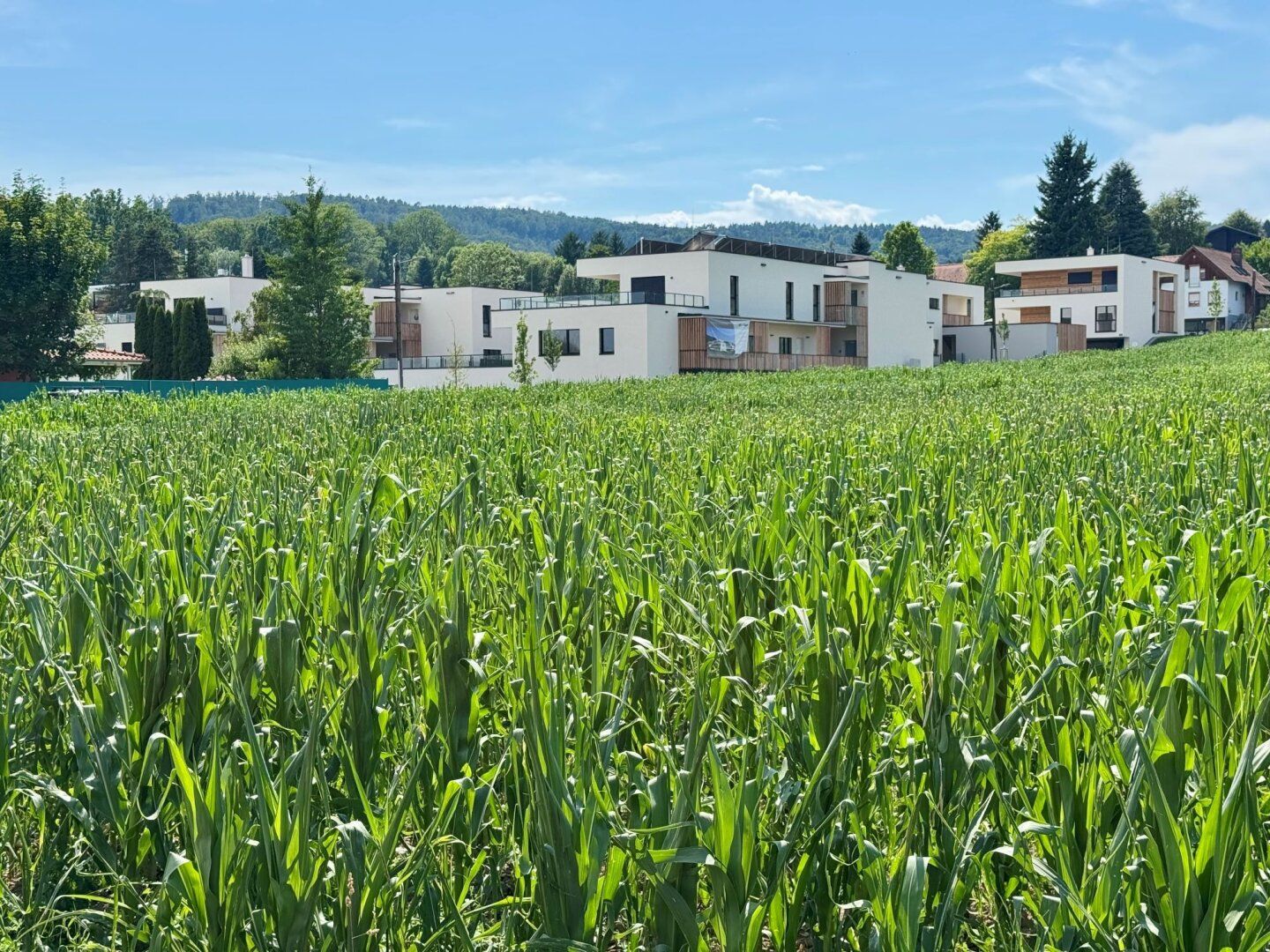 Entspannte Wohnatmosphäre: 2-Zimmer-Oase im Neubauprojekt Am Kehlberg