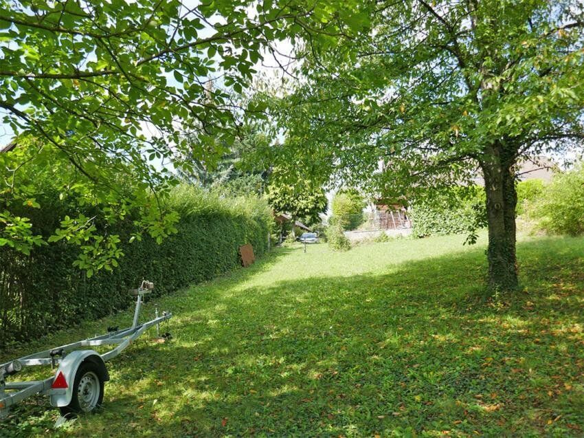 Baugrundstück in idyllischer Lage auf leichtem Südhang in Tulln-Nähe - Ansicht 5