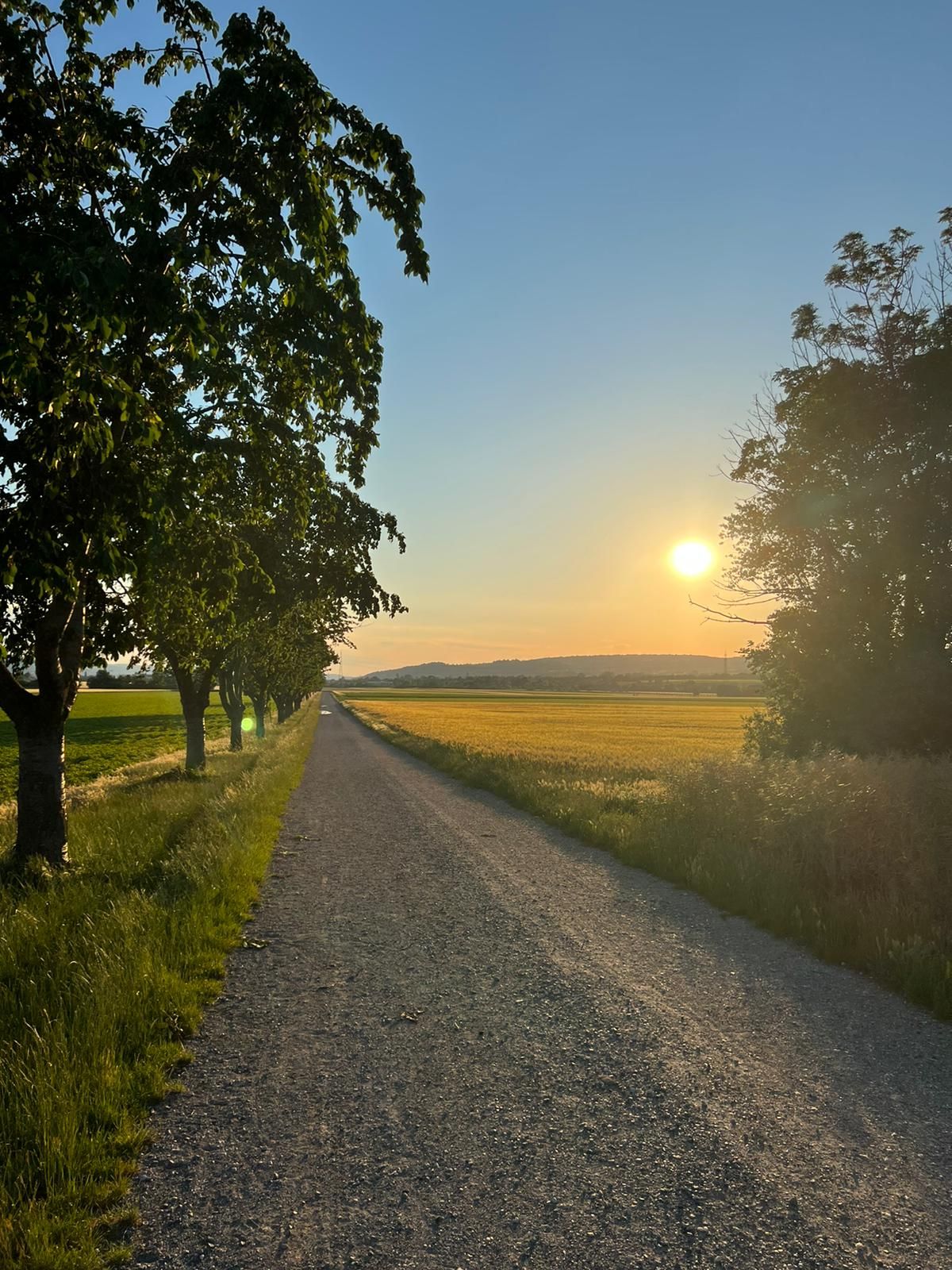 OHNE MAKLER! OHNE PROVISION! Naturerlebnis Stammersdorf!