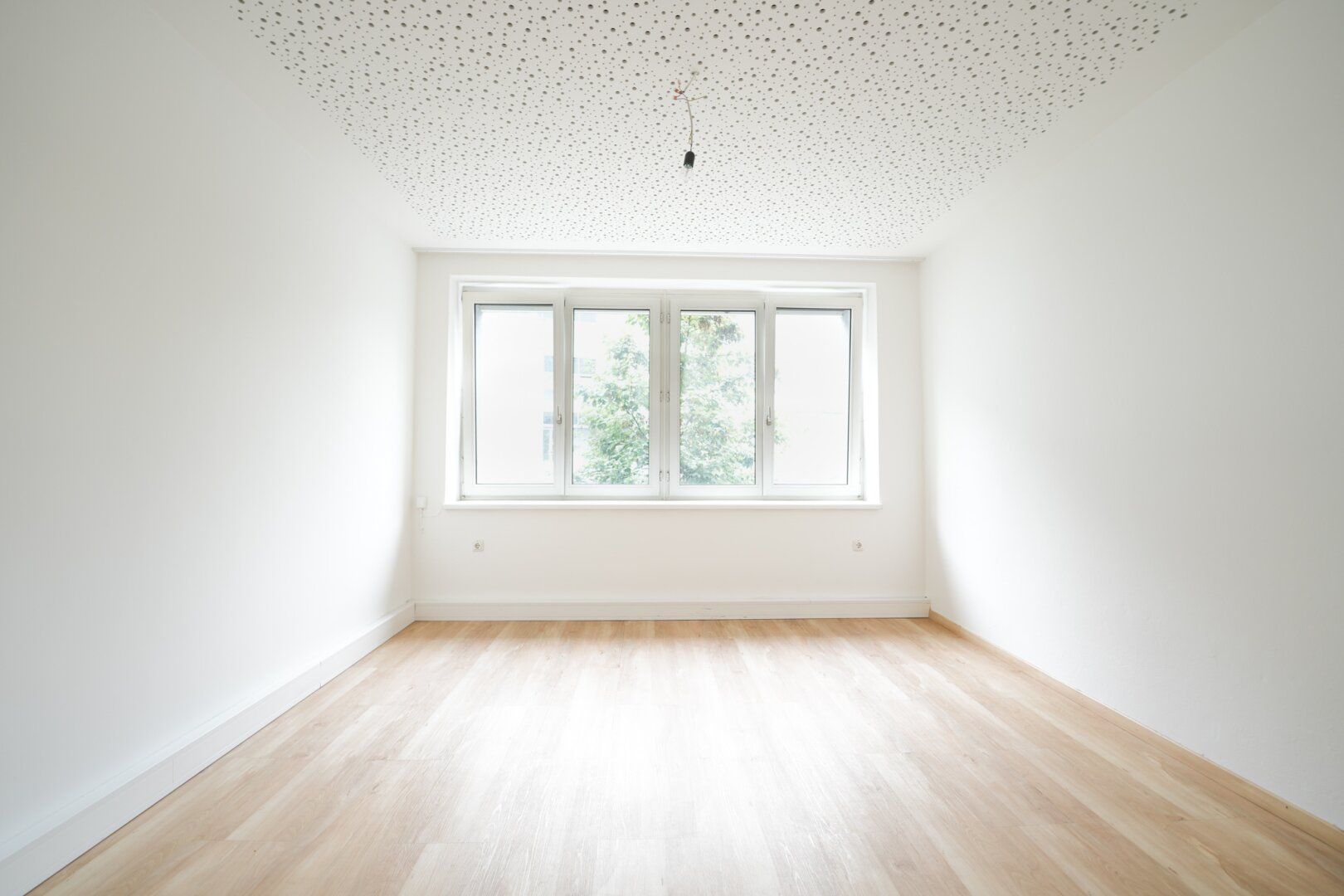 CO WORKING SPACE - Büro 1 - Ansicht 2