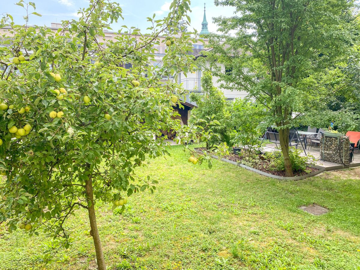 Wohnung – Stockerau - Ansicht 3