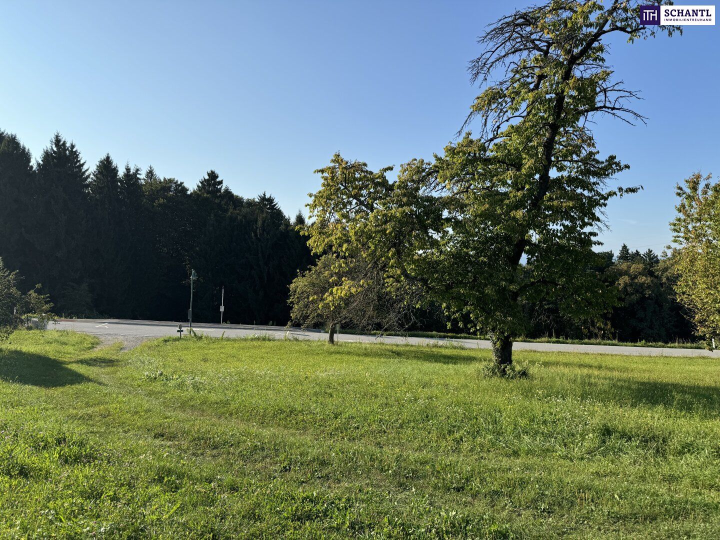 Traumgrundstück mit 913m² in Raaba-Grambach - Schöckl-Blick, Fernblick & Ruhelage - Ansicht 5