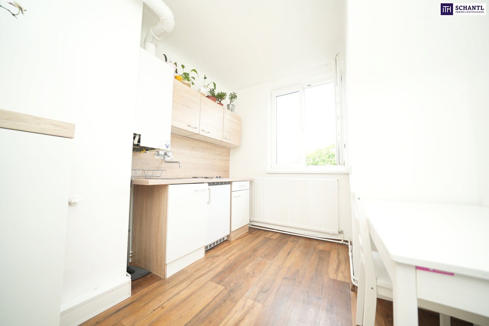SENSATIONELLER ZUSTAND! Ertragsstarke Immobilie in Wien: Vermietete 55m²-Wohnung - Kein Sanierungsbedarf, hohe Nachfrage!