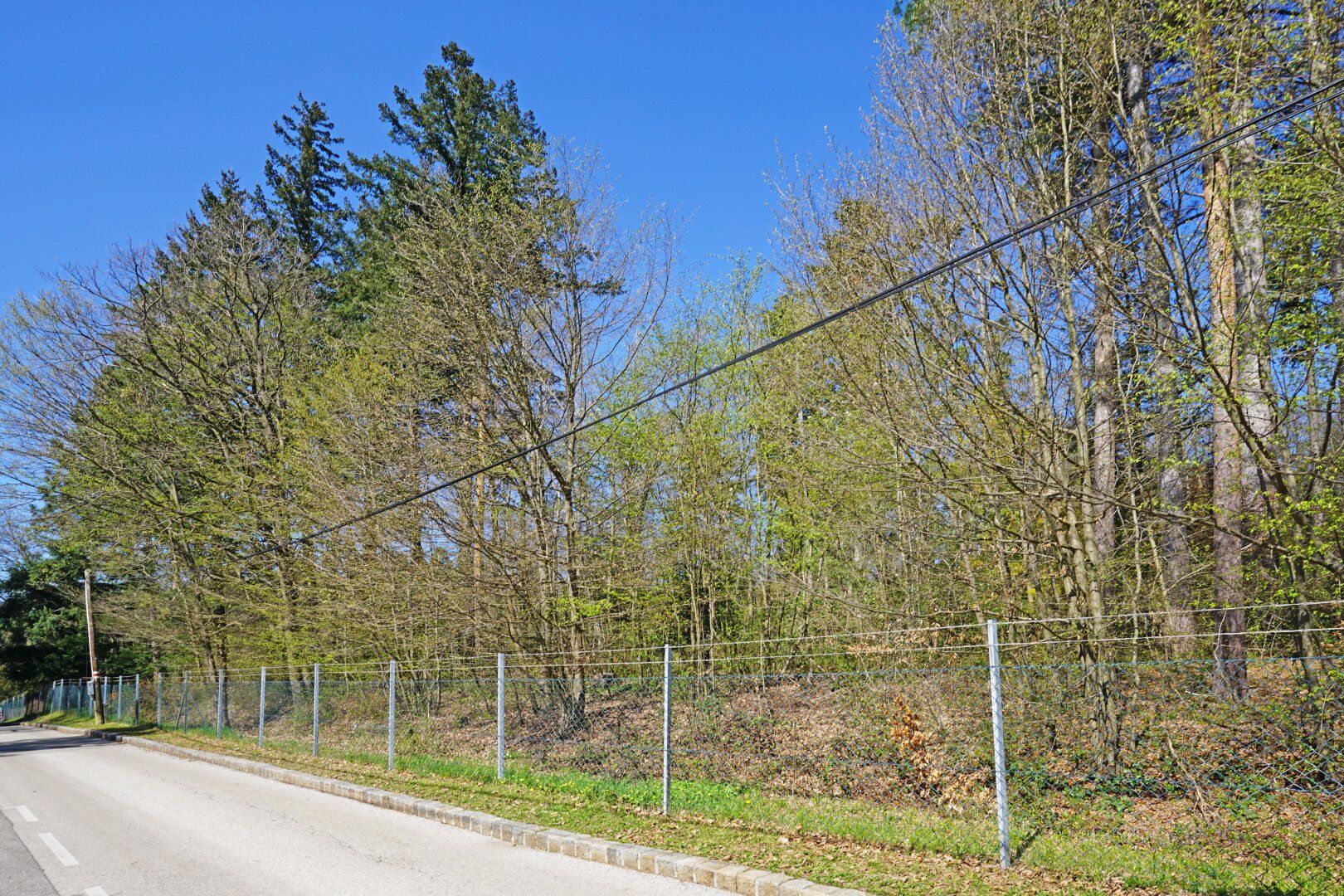 Villengrundstück in Waldrandruhelage zwischen Wolfersberg und Kolbeterberg - Ansicht 3