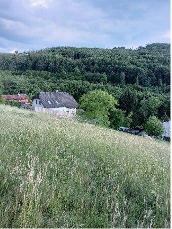 Traumhaftes Grundstück nahe Neulengbach/Altlengbach - Ansicht 5