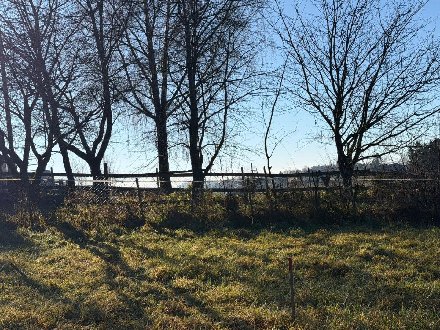 Ihr Platz zum Ankommen - Baugrundstück in ruhiger Lage auf der Schemerlhöhe nächst Laßnitzhöhe - Ansicht 3