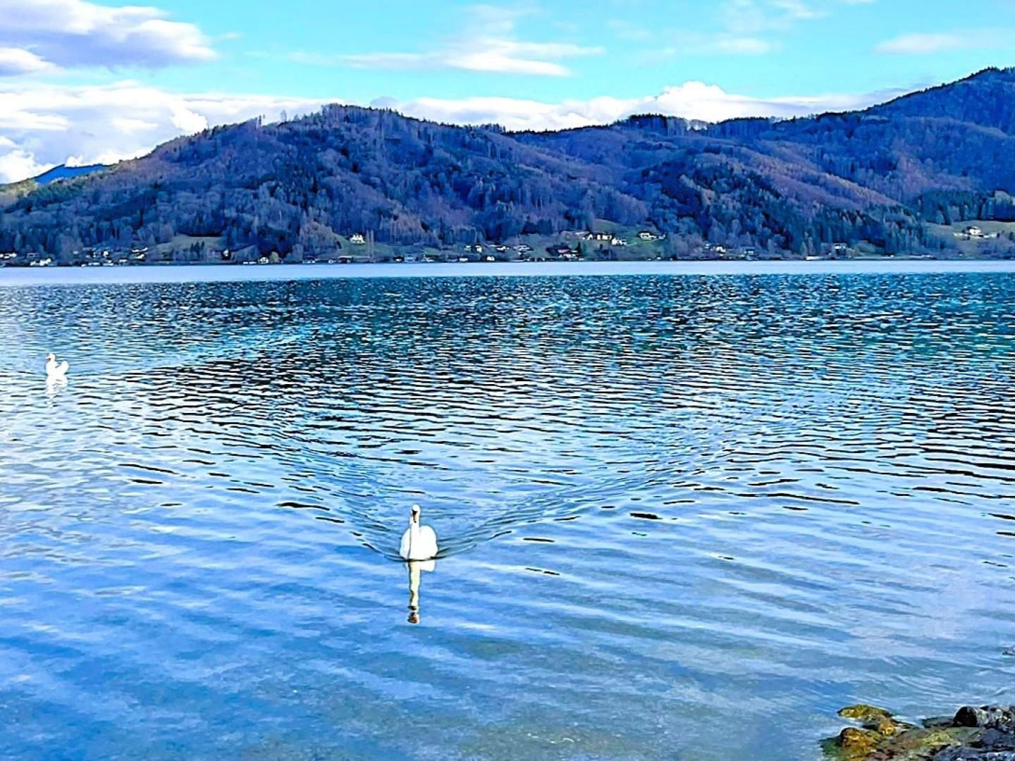HAUS am ATTERSEE - PRIVAT