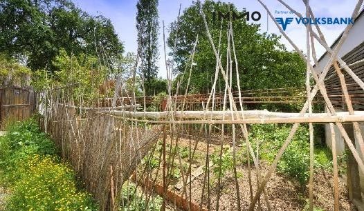 Gemüsegarten vor dem Haus