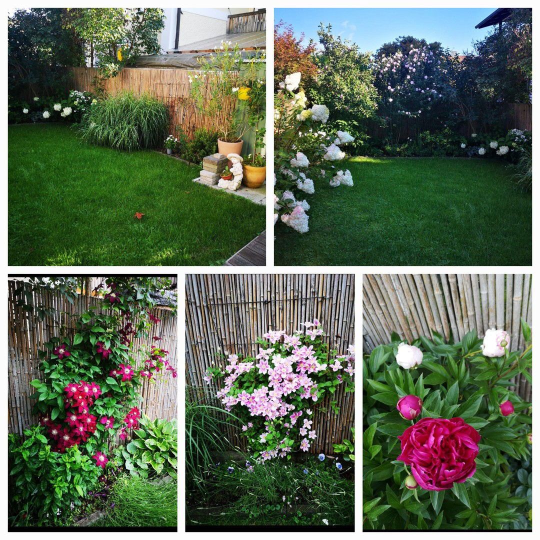 Maisonnette mit Garten
