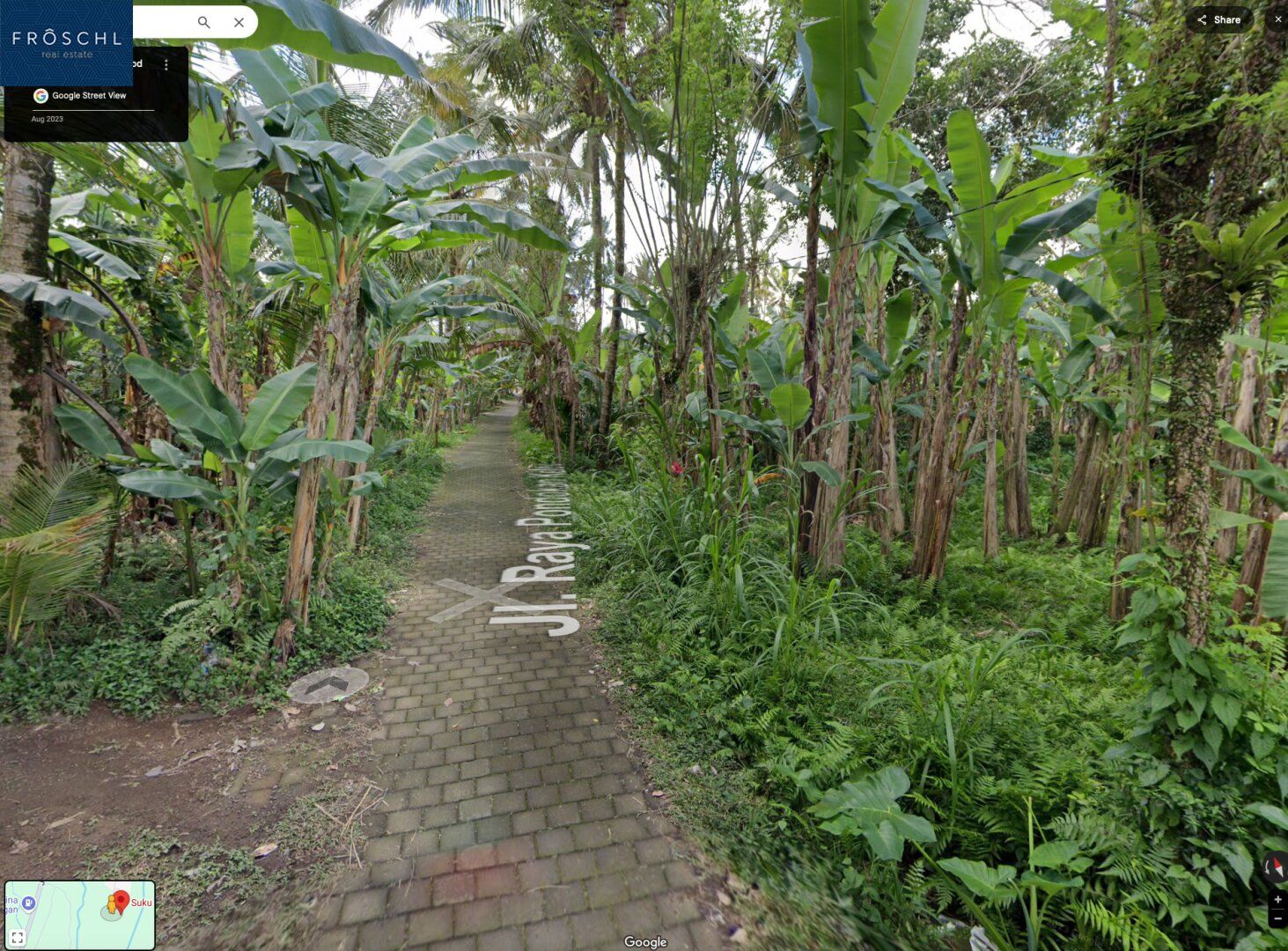 Ubud, Bali - Indonesien - 6.000 m² für Visionäre - Seltenes Freehold-Grundstück mit Tourismuswidmung - Ansicht 2