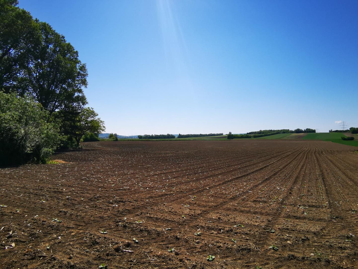 Ortsrandlage mit herrlichem Fernblick: eben, sonnig & ruhig