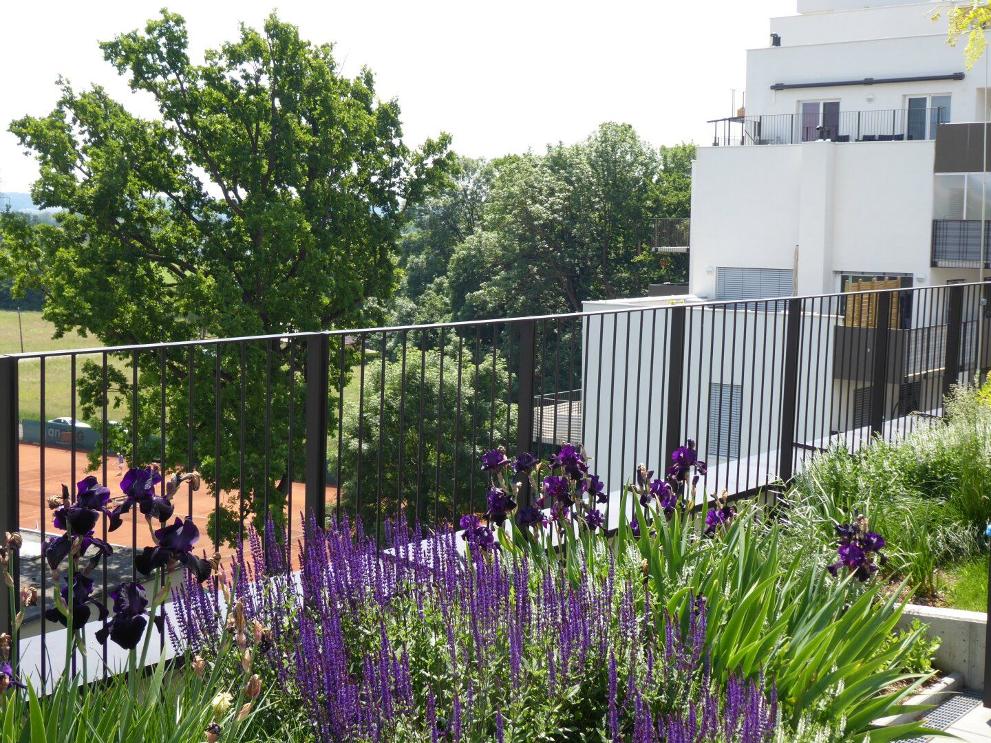 Wohnung – Graz, Brauquartier, Puntigam - Ansicht 3