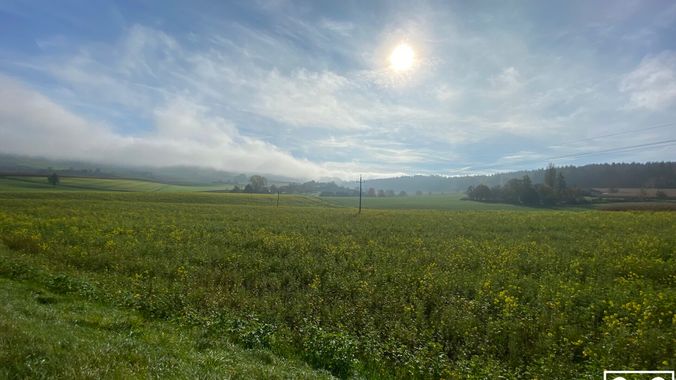 Landwirtschaftlicher Nutzgrund