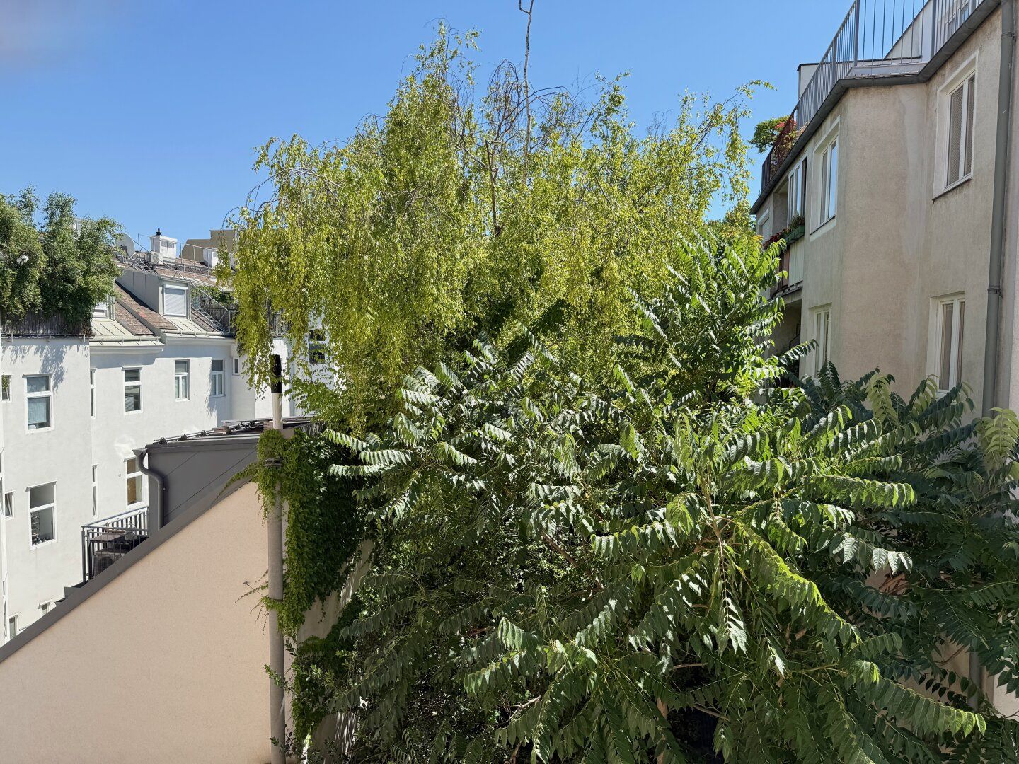 Erstbezug nach Kernsanierung I Fußbodenheizung I südseitiger Balkon I Luftwärmepumpe inkl. Kühlung I 3fach Verglasung mit Außenjalousien I Schlüsselfertig