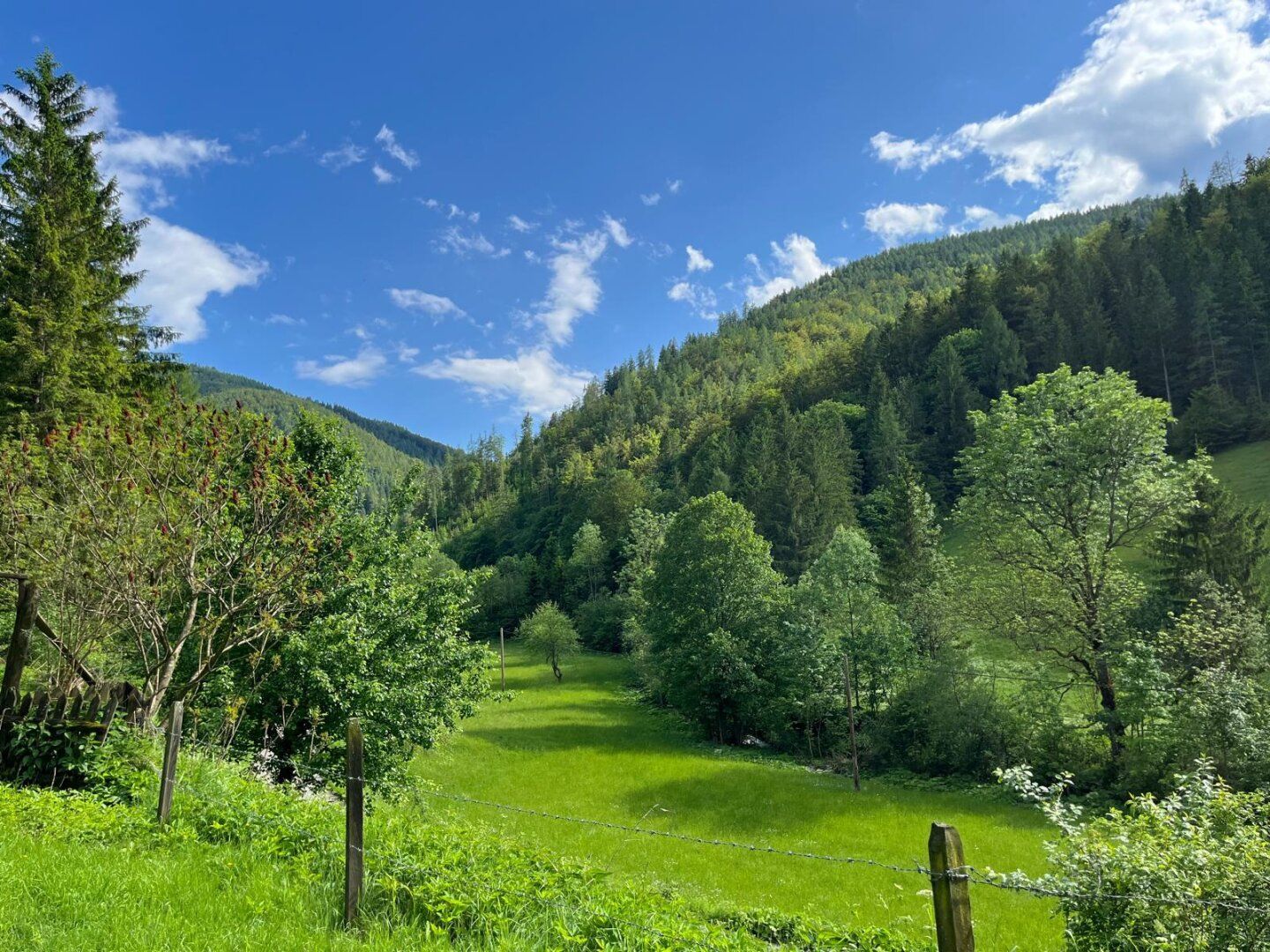 Paradies in Nähe zu Graz - Wunderbarer Besitz in Großstübing