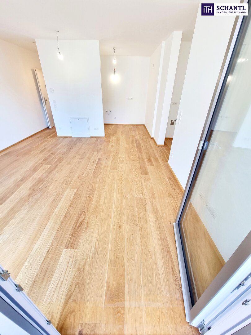 Wohnung – Wien - Mehr