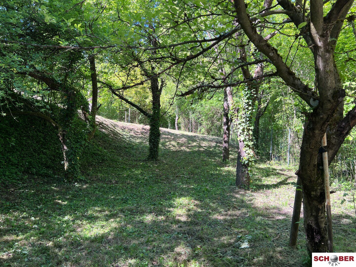 2.061 m² am Waldrand - Grundstück mit vielseitigen Möglichkeiten in Enzesfeld - Ansicht 4
