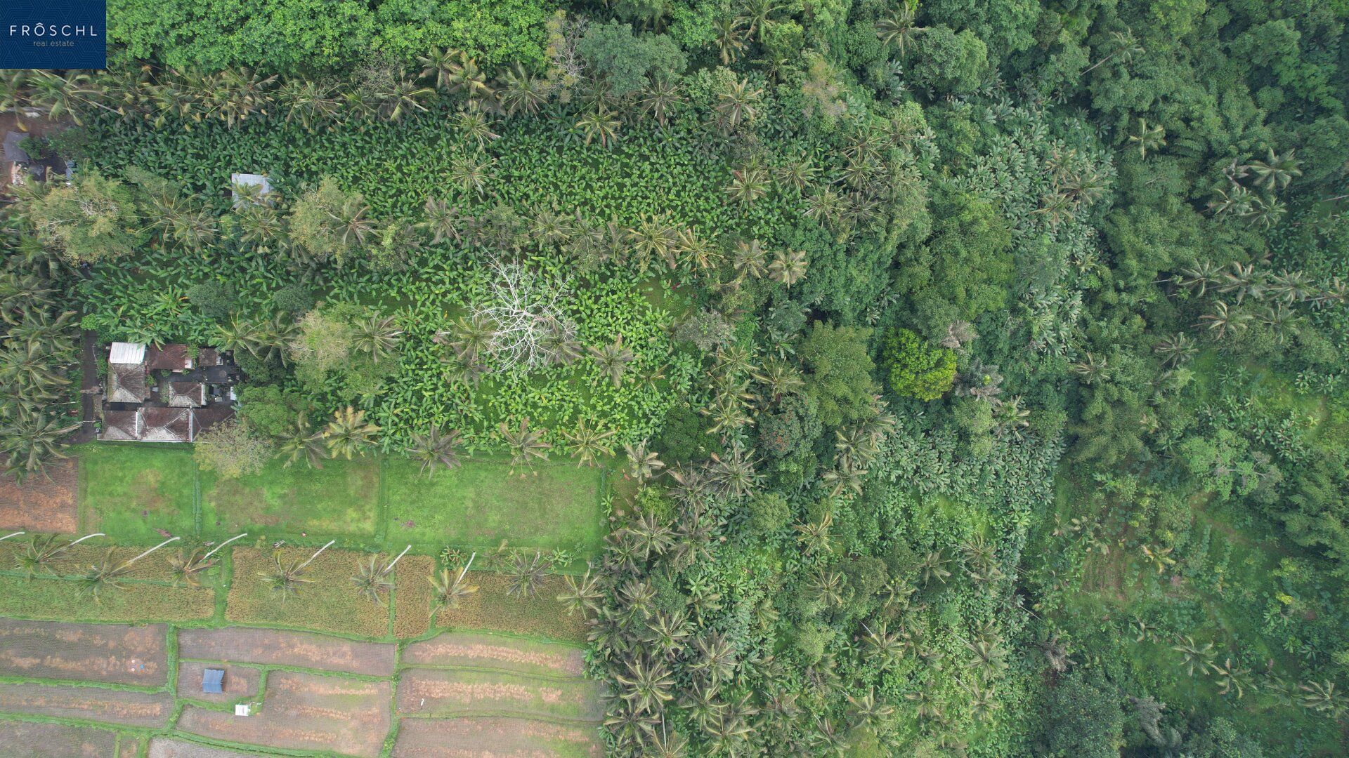 Ubud, Bali - Indonesien - 6.000 m² für Visionäre - Seltenes Freehold-Grundstück mit Tourismuswidmung - Ansicht 3