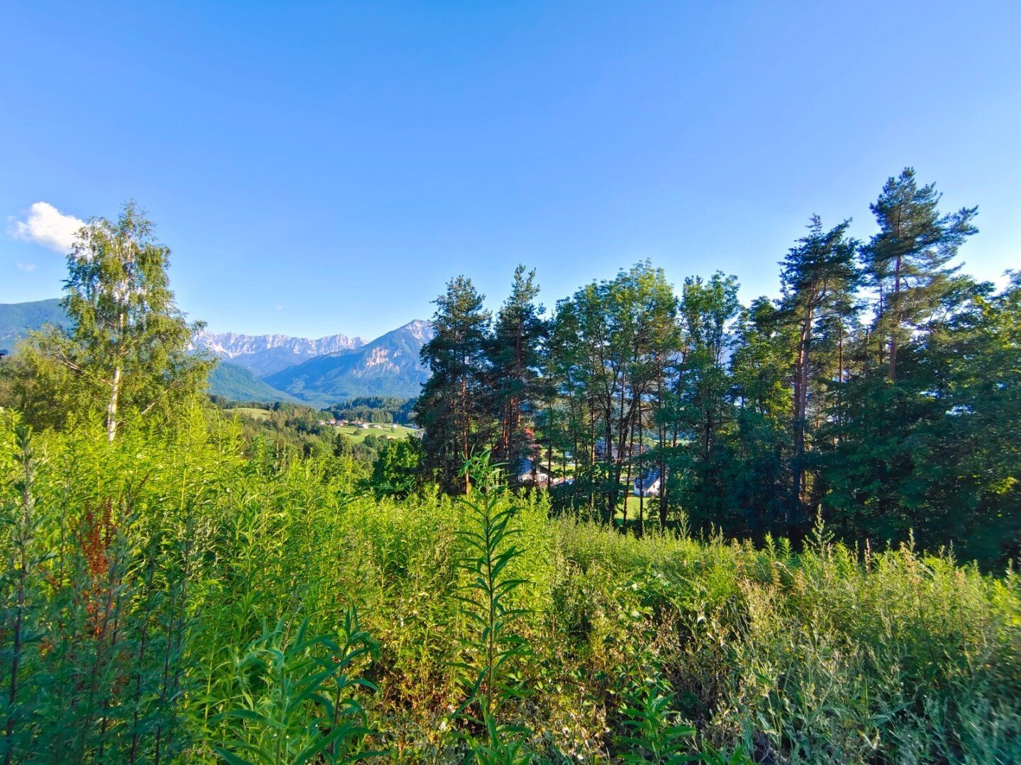 Die Idee ist schon da - verwirklichen Sie Ihr Traumhaus in Panorama-Lage von Toppelsdorf - Ansicht 4