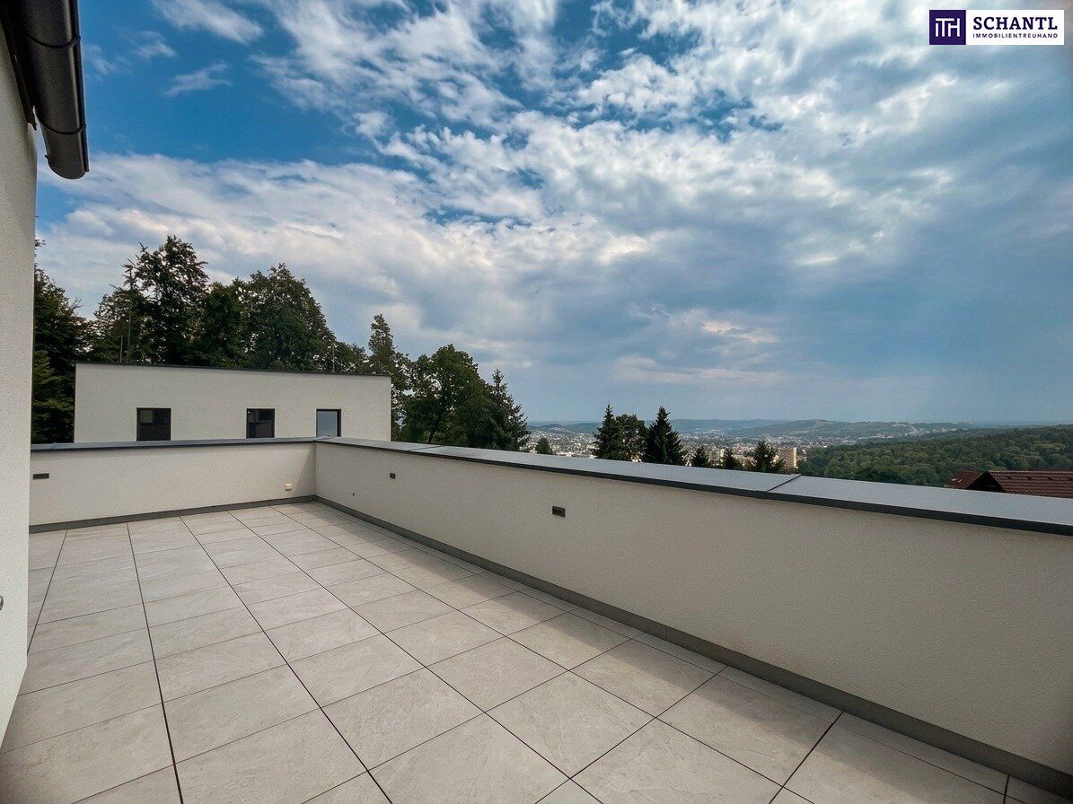 Wohnung – Birchbaum - Ansicht 3