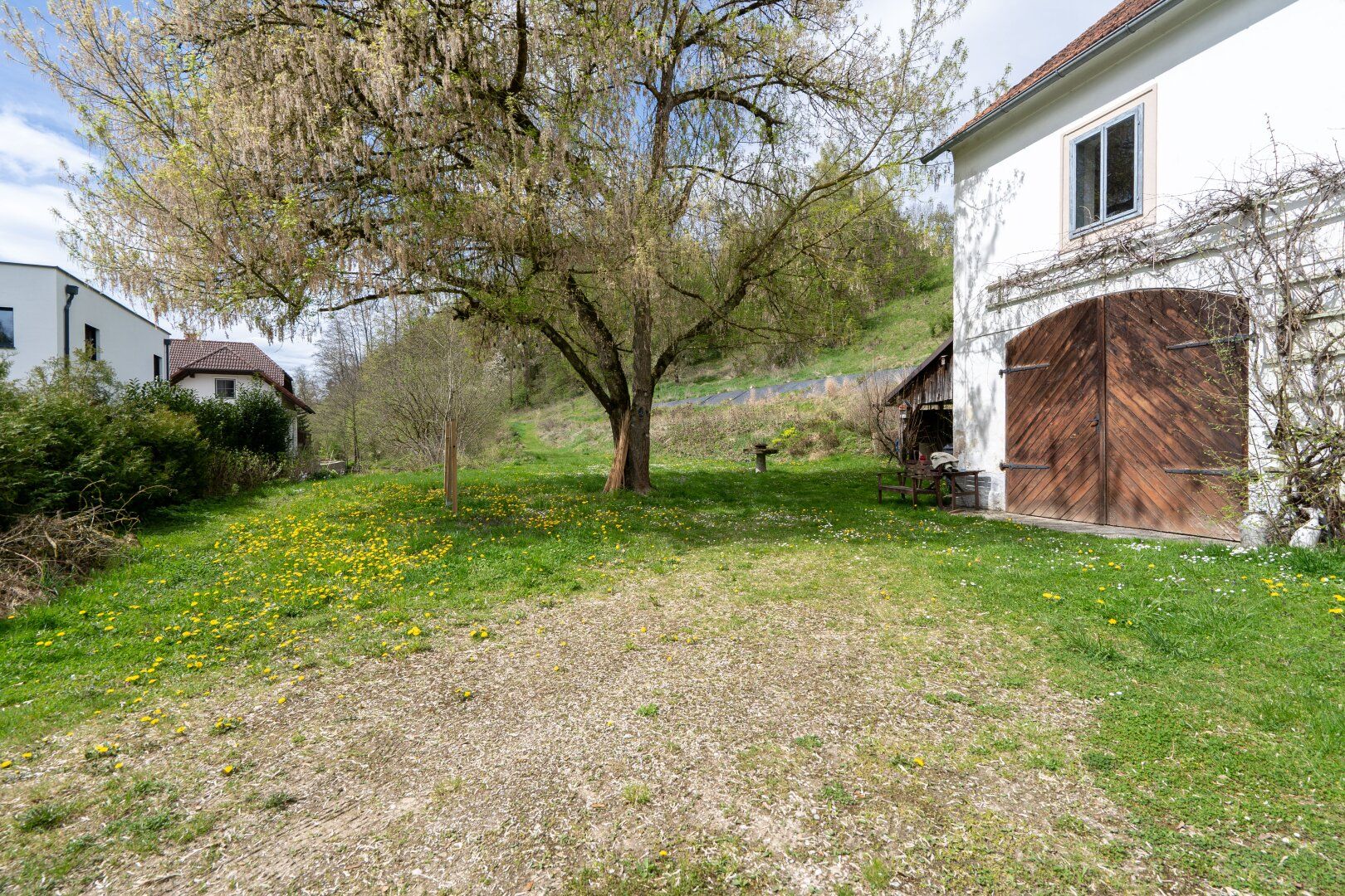 Historische Mühle in Schlossnähe - vielseitige Nutzung möglich