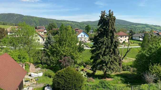 Ausblick Garten und Umgebung