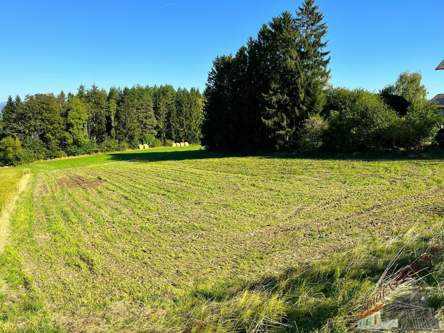 Baugrund mit Fernblick bis zum Schneeberg - kein Bauzwang - AUFGESCHLOSSEN - Ansicht 2