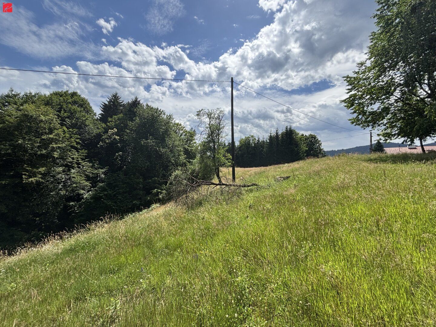 Ihr Traumgrund in ruhiger Lage - Ansicht 5