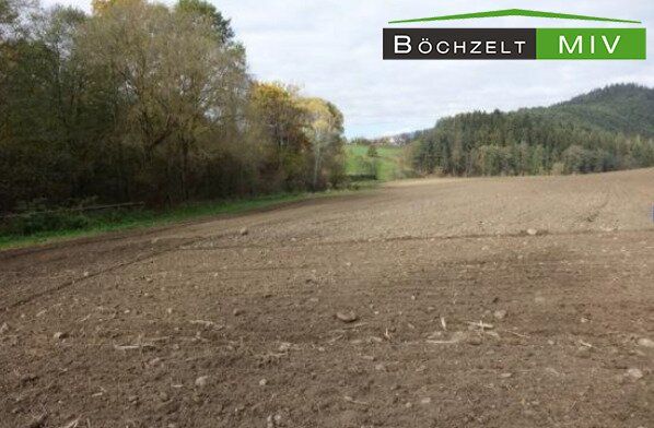 Ca. 3,9 ha Ackerfläche in +++ St. Marein - Feistritz +++ - Ansicht 2