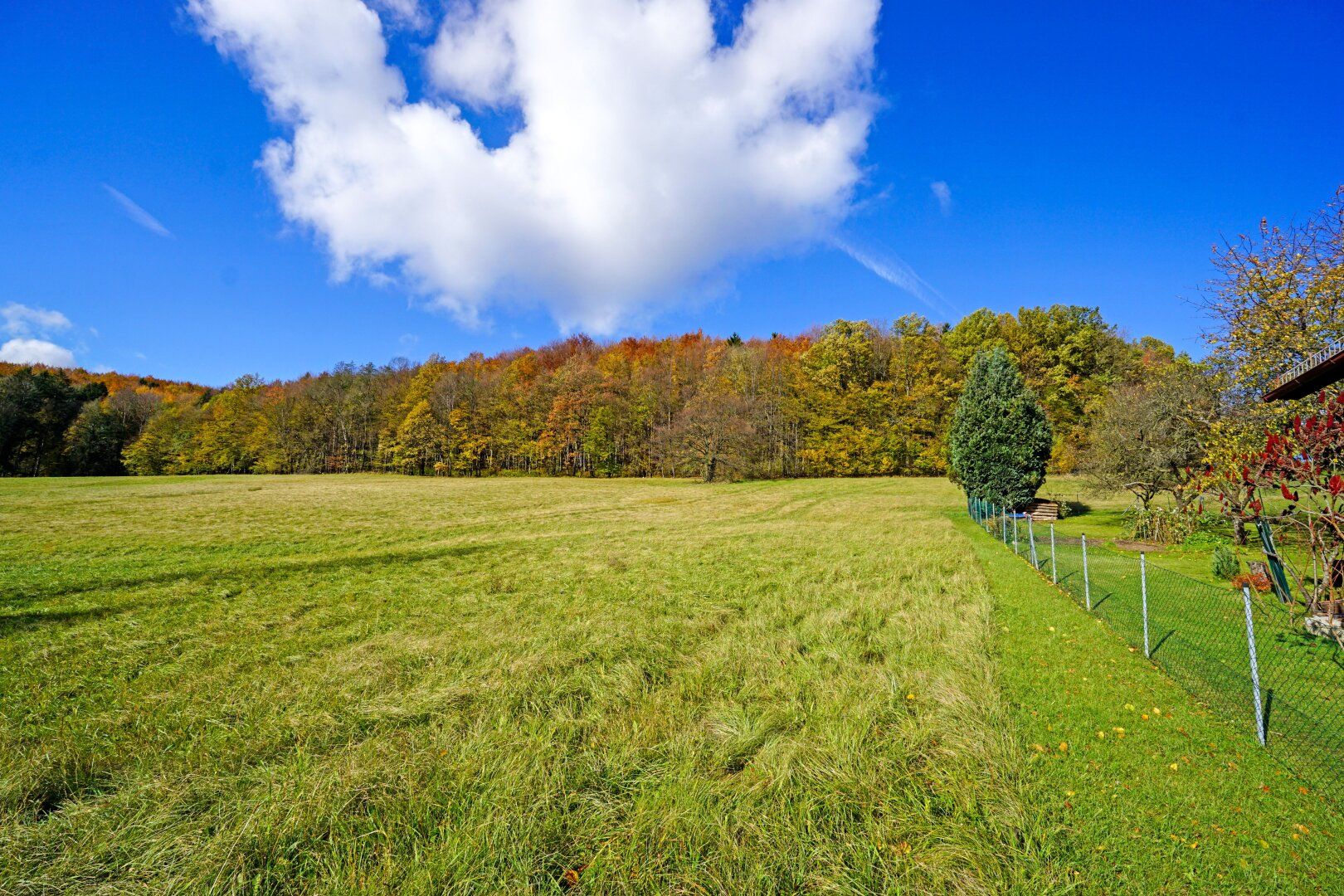 Großzügiges, naturnahes Grundstück in sonniger Ruhelage und mit herrlicher Aussicht - Ansicht 2