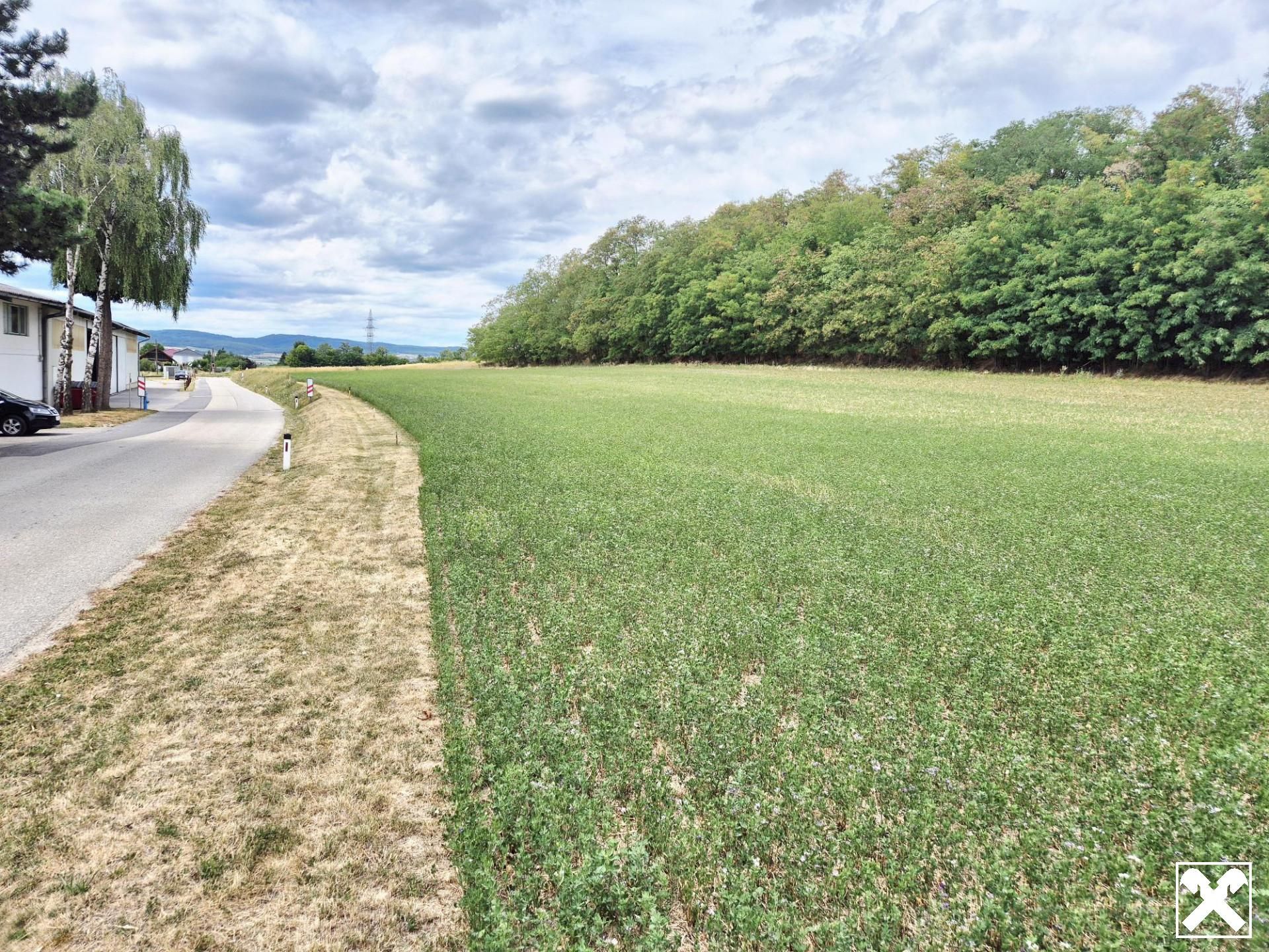 BETRIEBSGEBIET - PACHT - Ansicht 4