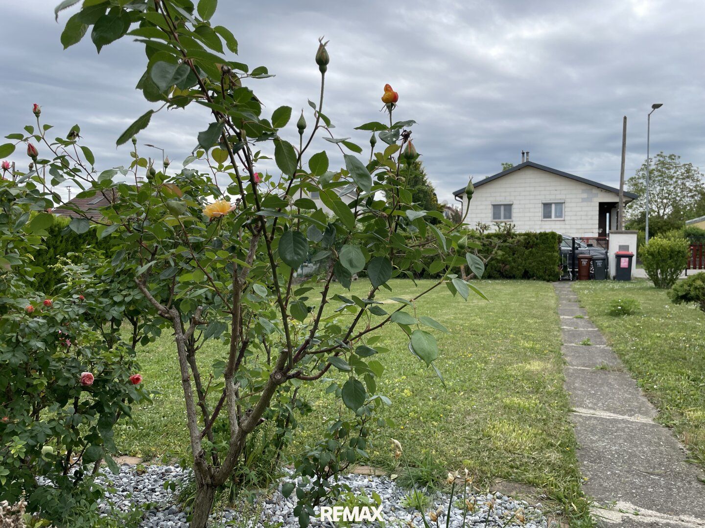 Grundstück mit kleinem Haus in Mitterndorf an der Fischa - Ihr Garten nahe Wien! - Ansicht 4