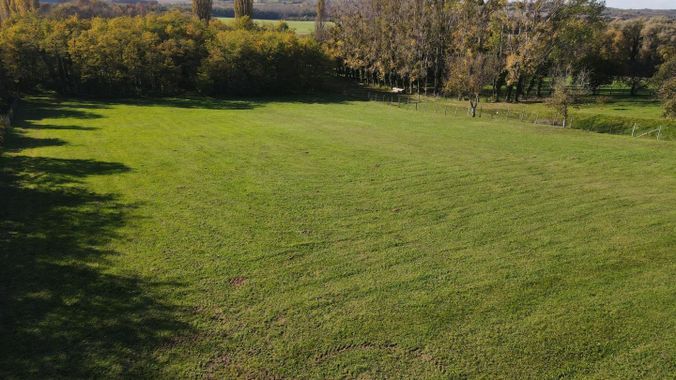 8 Wiese mit Wald