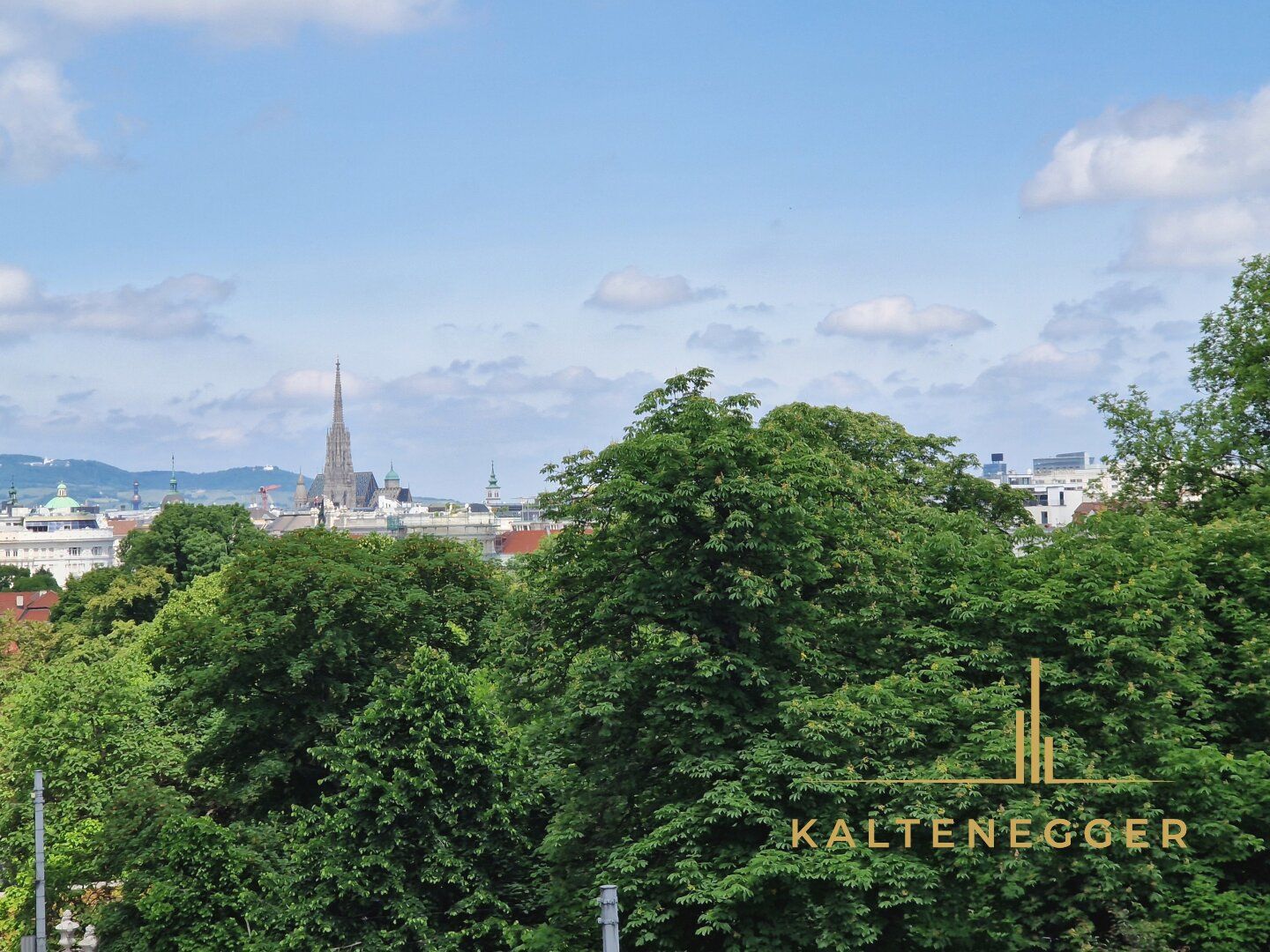 Blick auf den Stephansdom + Schloss Belvedere: Frisch sanierte Stadtwohnung!