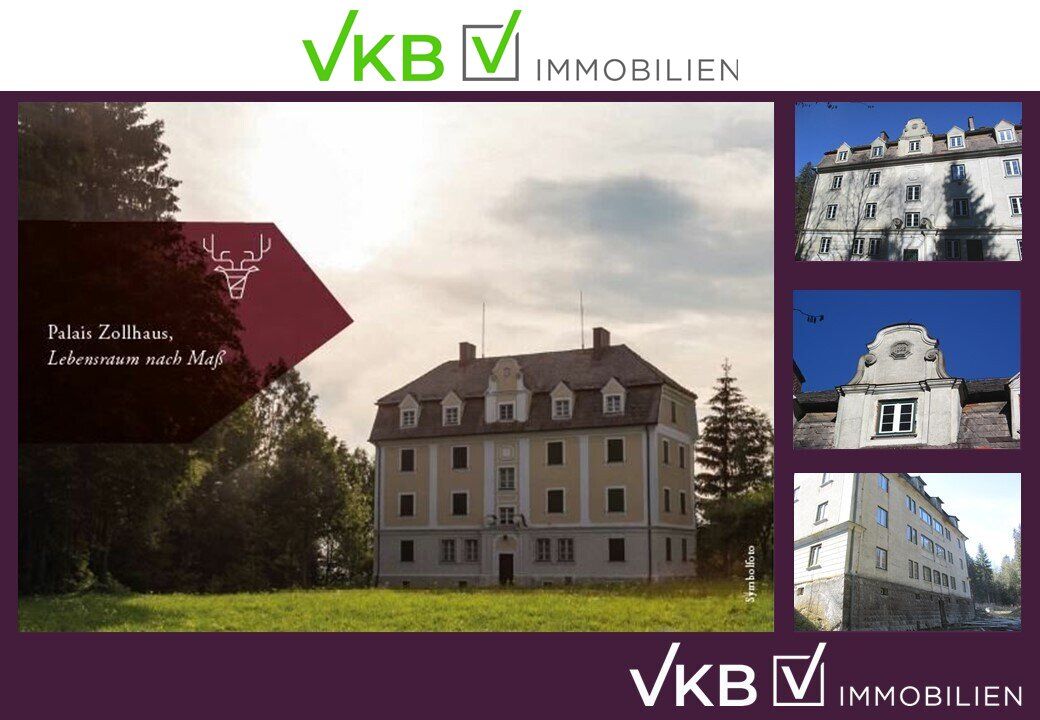 PALAIS ZOLLHAUS zur Revitalisierung