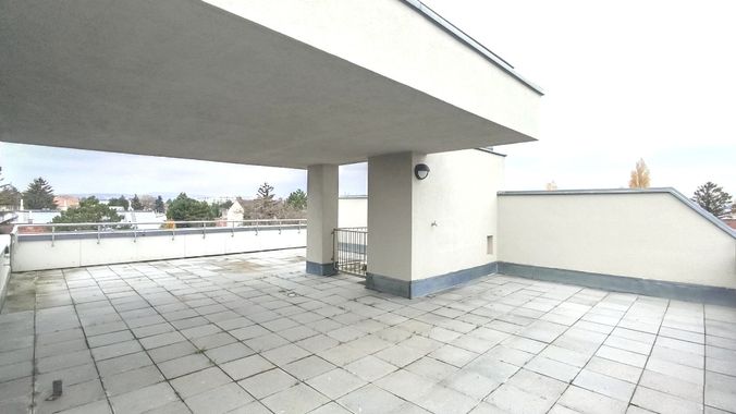 Freifläche
