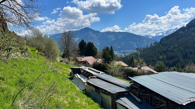 Altbestand