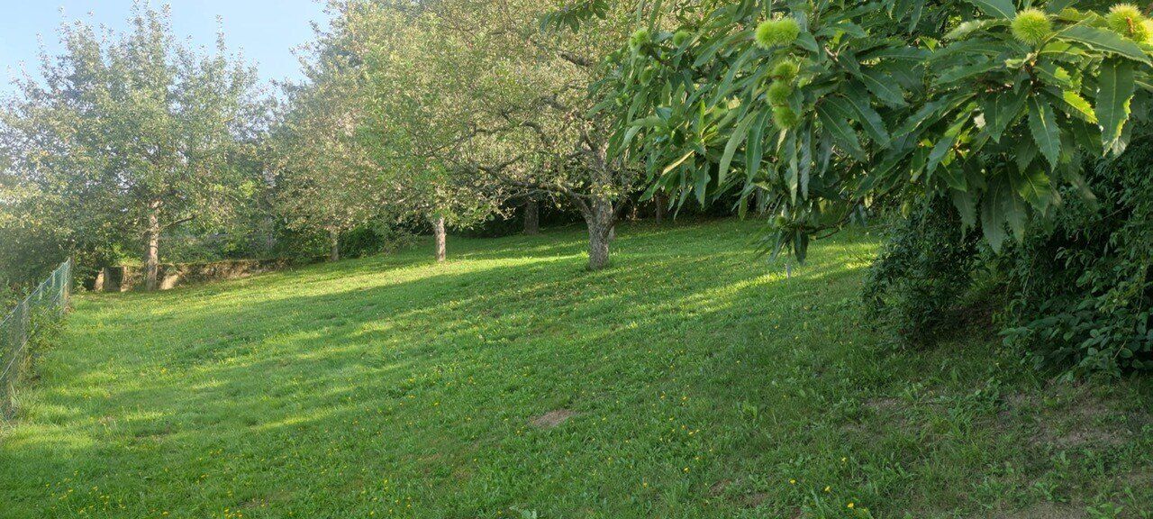 Sonniges Baugrundstück in Moosburg, Kärnten - 877 m² für Ihre Wohnträume! - Ansicht 3