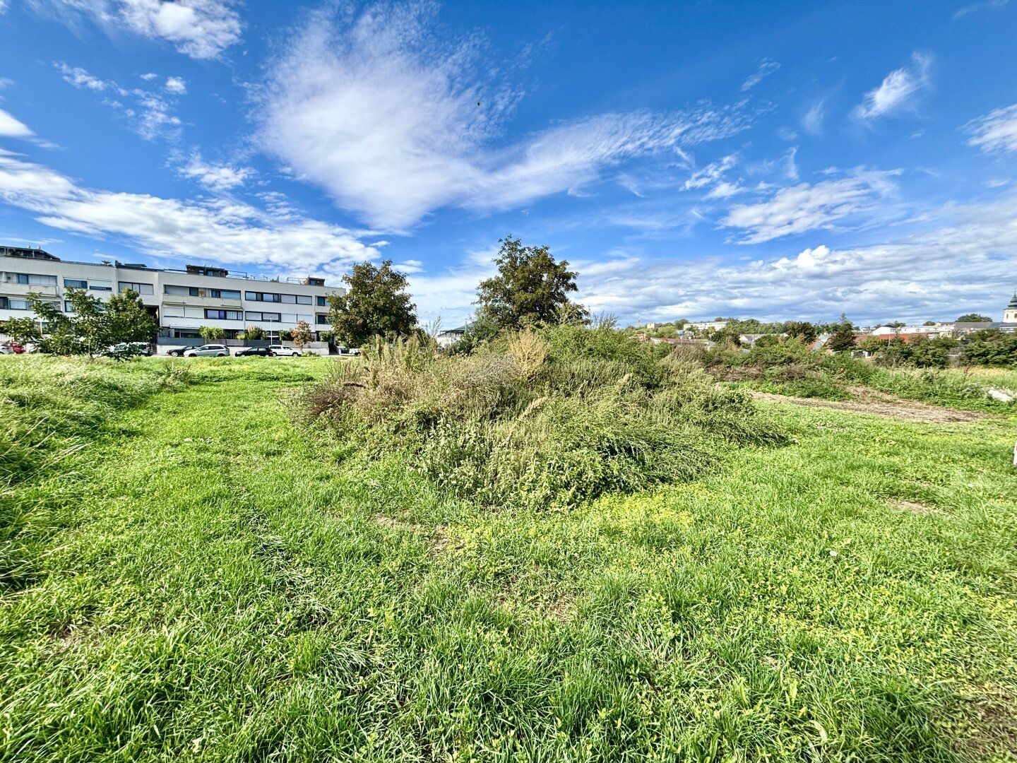 Baugrundstück in zentraler Ruhelage - Neusiedl am See - Ansicht 4