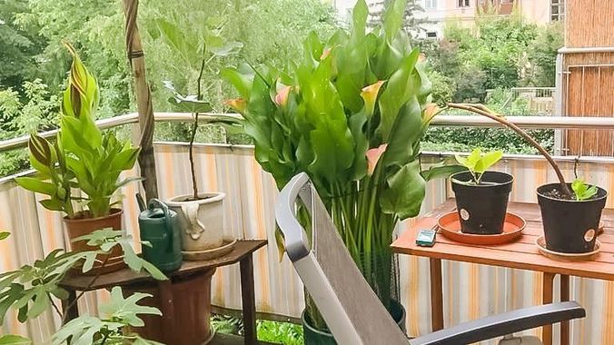 Balkon