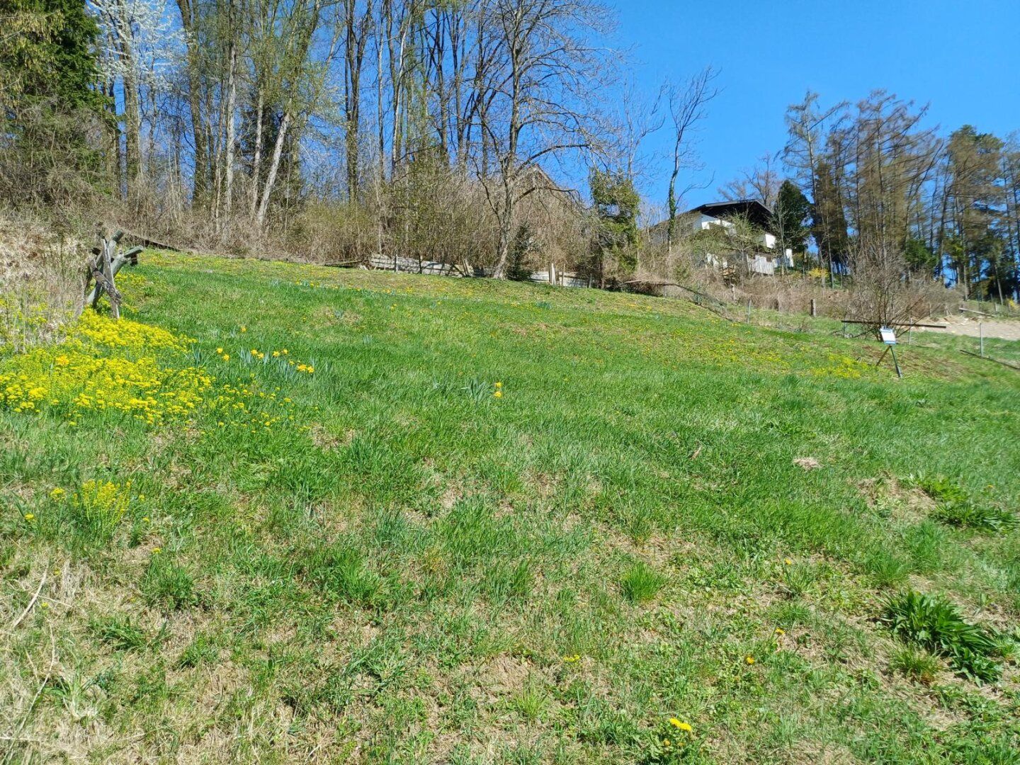 Sonnige Hanglage mit schönem Gebirgs- und Fernblick! - Mehr