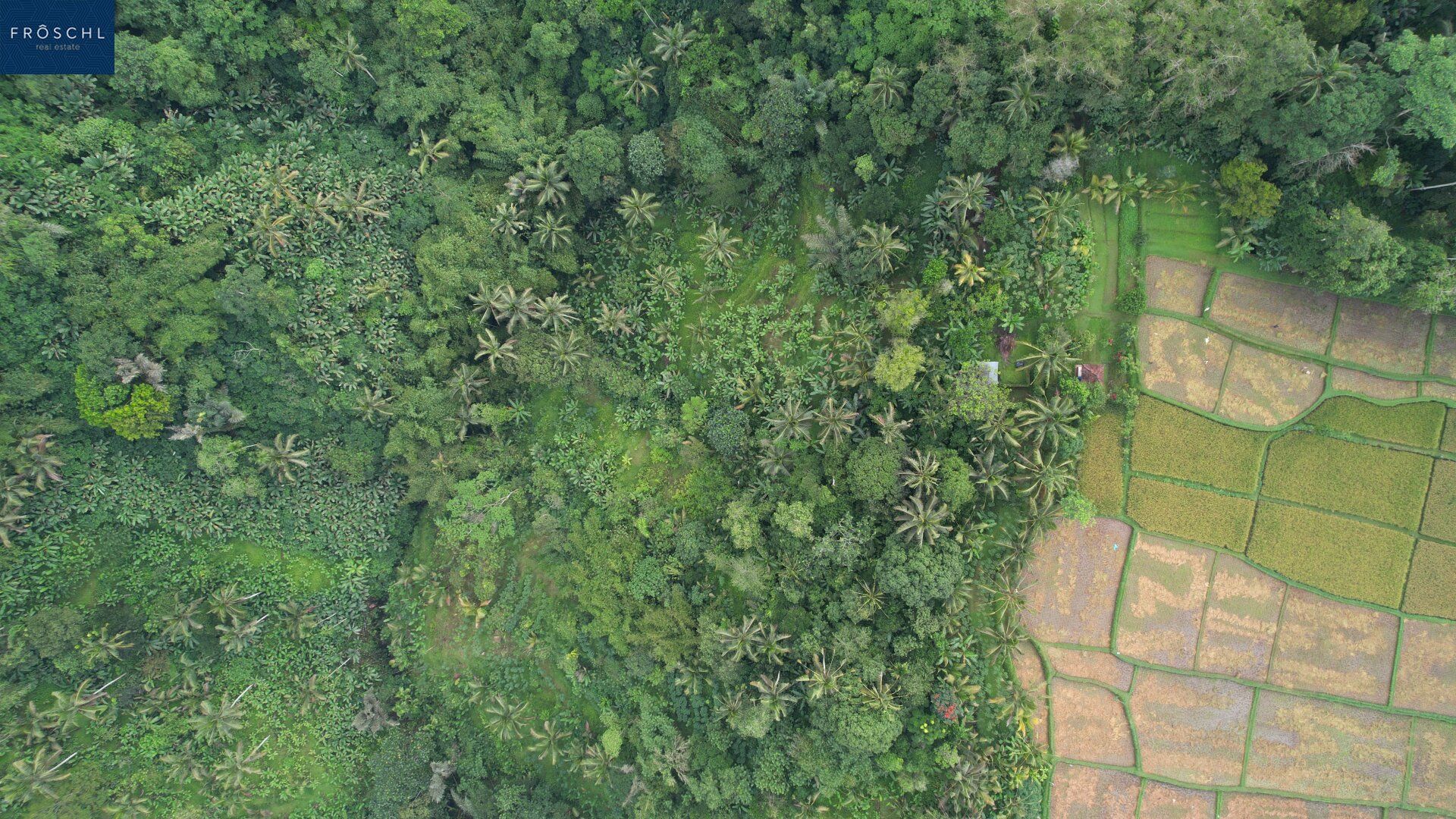 Ubud, Bali - Indonesien - 6.000 m² für Visionäre - Seltenes Freehold-Grundstück mit Tourismuswidmung - Mehr