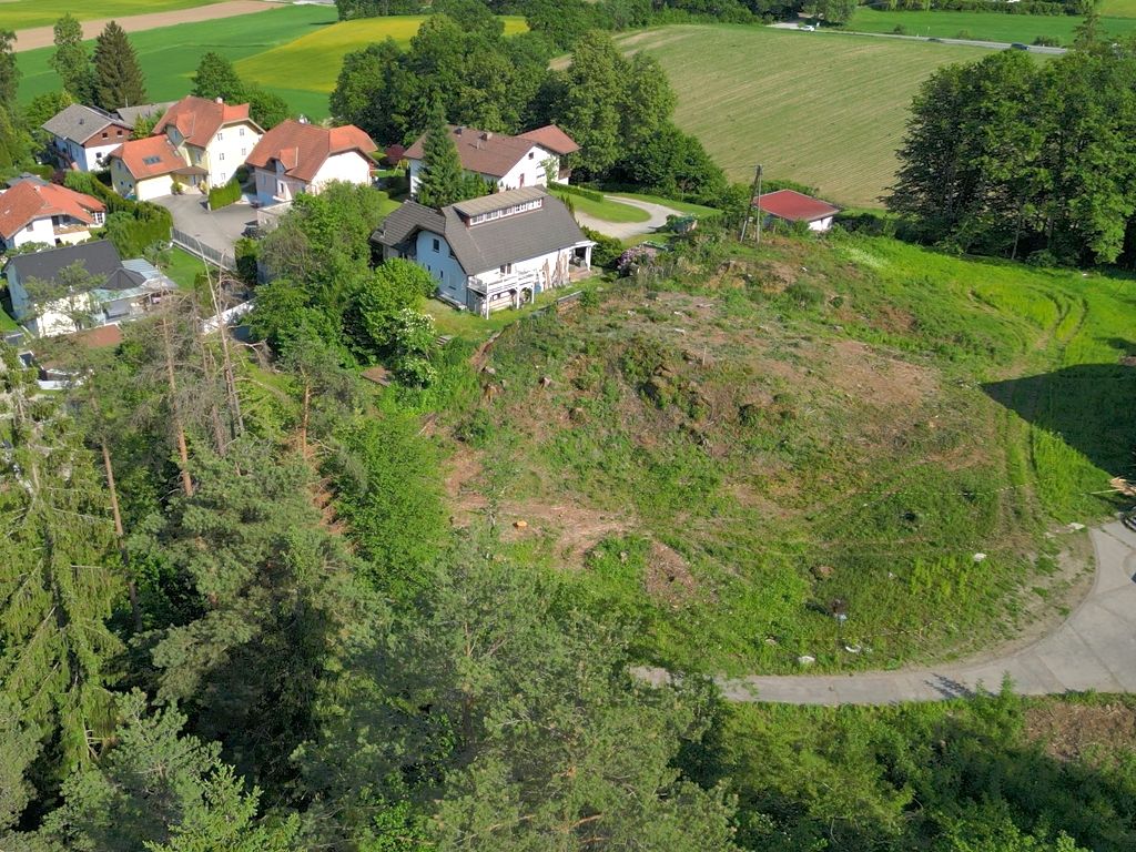 Provisionsfrei: Baugrund am Waldrand, sonnig und erhaben wie in König der Löwen, in Moosburg - Ansicht 5